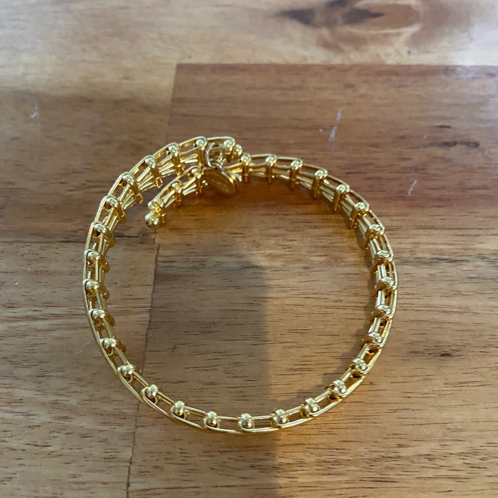 Alex and Ani bangle